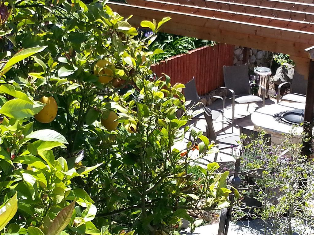 The Vendange Carmel Inn & Suites Екстер'єр фото